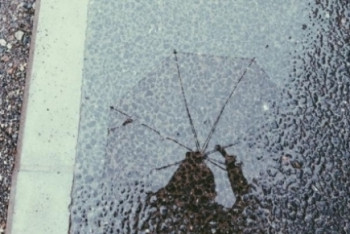 Фотография к новости: Дождливые выходные ожидаются на севере, востоке и в центре Казахстана