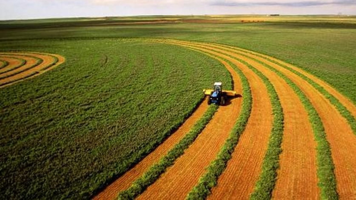 Из открытых источников 