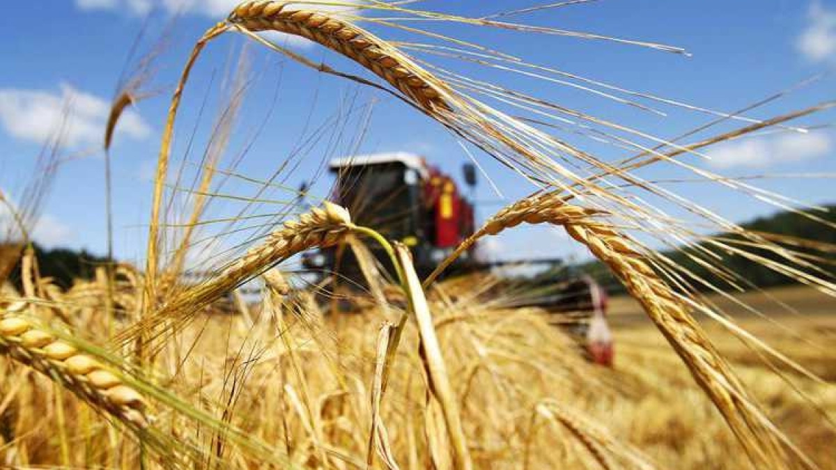 из открытых источников