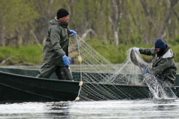 Фотография к новости: Сотрудники рыбинспекции изъяли у браконьеров 181 кг рыбы в Атырауской области
