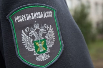 Фотография к новости: Россия запретила ввоз 140 тонн овощей и фруктов из Казахстана