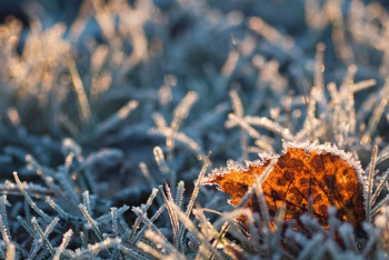 Фотография к новости: Шторм и заморозки обещают синоптики астанчанам 