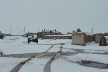 Фотография к новости: Снег выпал в Восточном Казахстане