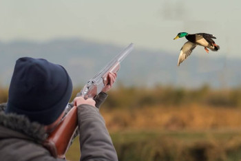 На 34 вида животных разрешено охотиться в Казахстане осенью и зимой