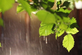 Фотография к новости: Дожди ожидаются на большей части территории Казахстана второго сентября