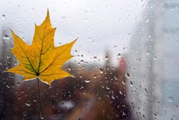 Фотография к новости: Каким будет начало осени в Казахстане, рассказали синоптики