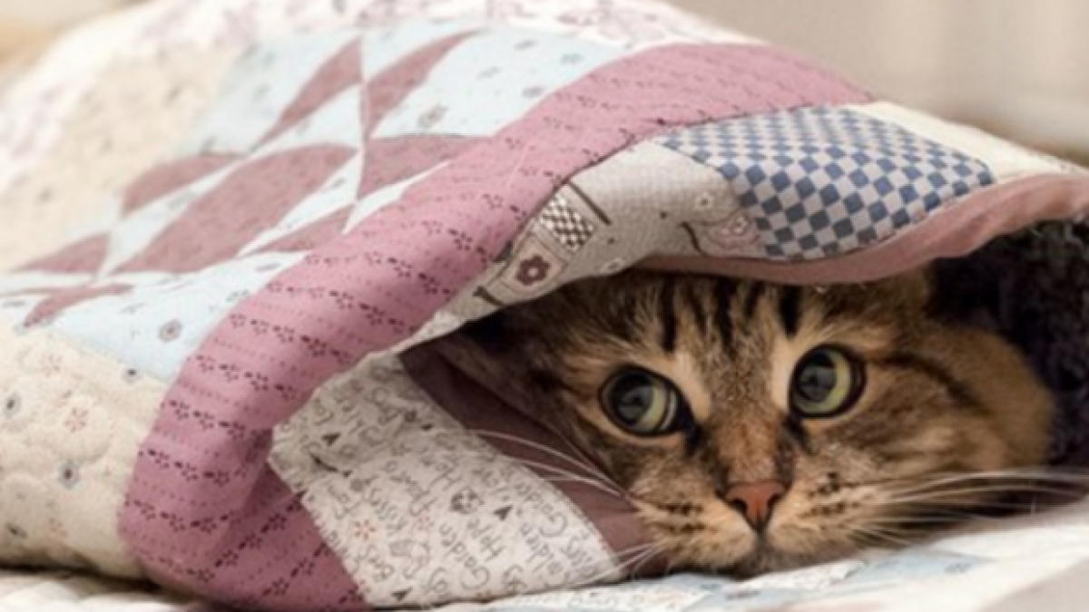 Дожди и похолодание ожидают казахстанцев в выходные