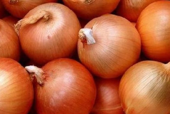 Фотография к новости: Около 40 тонн казахстанского репчатого лука вернул Россельхознадзор