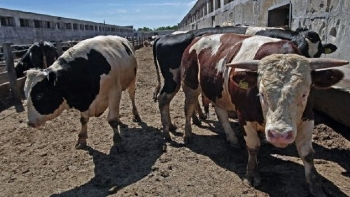 из открытых источников