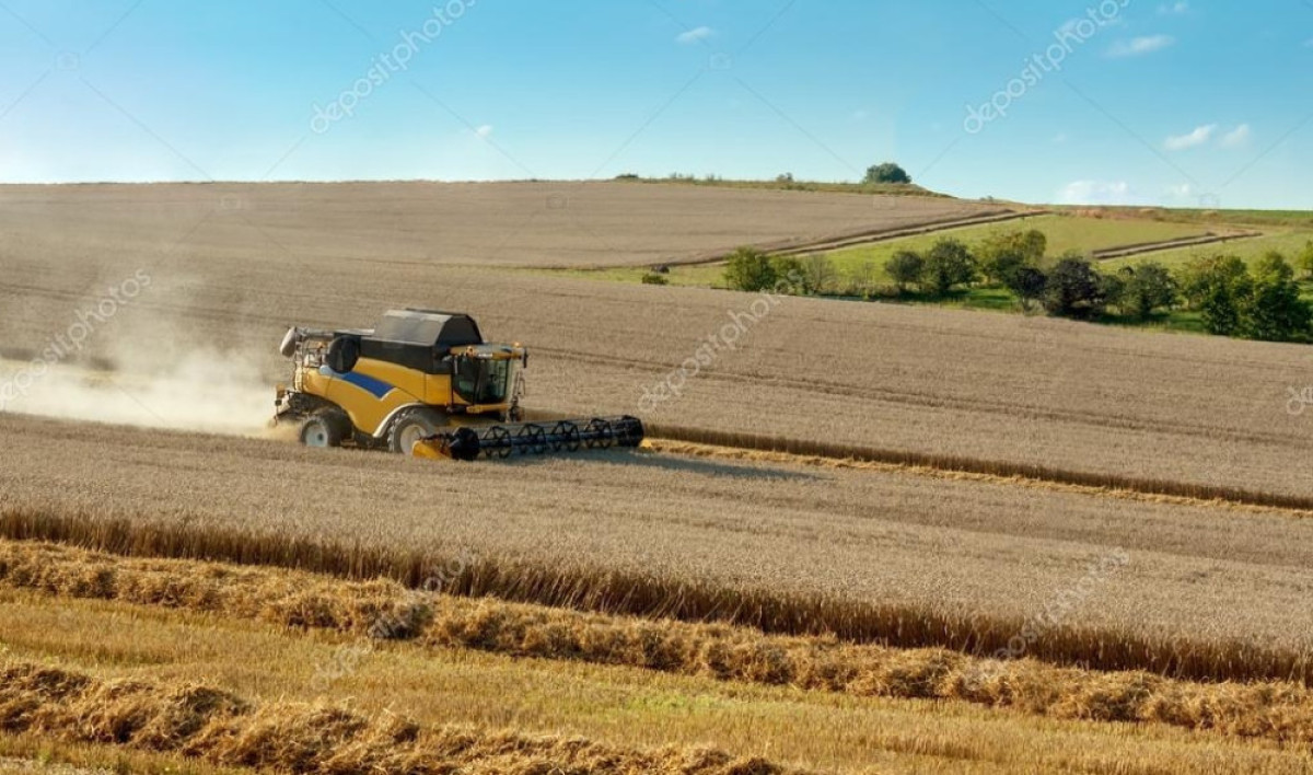 из открытых источников