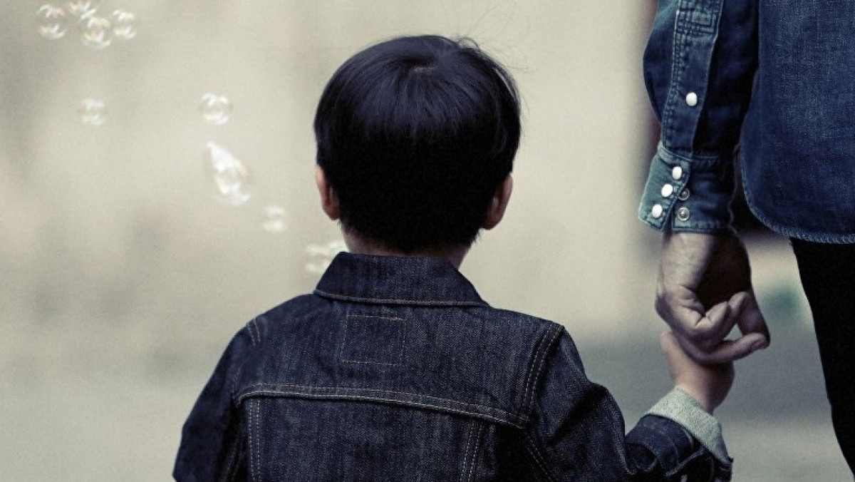 из открытых источников