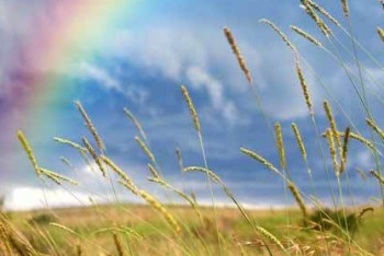 Фотография к новости: Погода без осадков ожидает жителей запада и юга страны 24 августа 