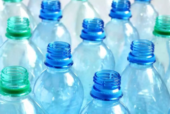 Вату из пластиковых бутылок будут производить в Туркестанской области