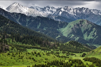 Если общественность не поддержит, то откажемся от проекта - Байбек о Кок-Жайляу 