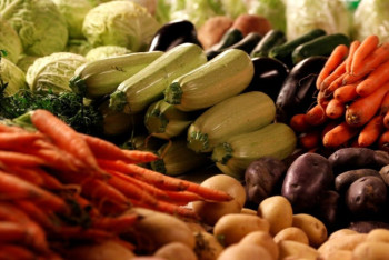 Фотография к новости: Eщё десяток казахстанских предприятий будут экспортировать сельхозпродукцию в Китай