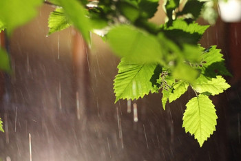 В последние дни лета будет холодно и дождливо