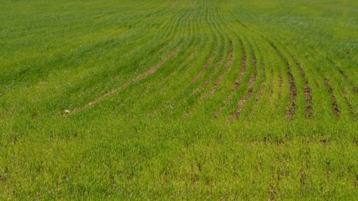 Из открытого источника 