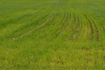 Фотография к новости: Мирно решить земельный скандал пытаются актюбинские власти 