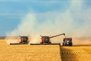 Фотография к новости: Подготовку к уборке урожая обсудили в акимате Акмолинской области