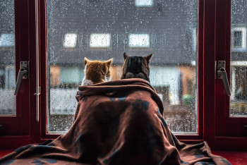 Похолодание ожидается в Казахстане в ближайшие дни