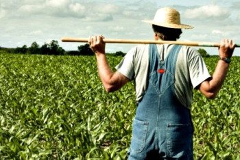 Фотография к новости: Около двух миллионов тенге присвоил атырауский фермер