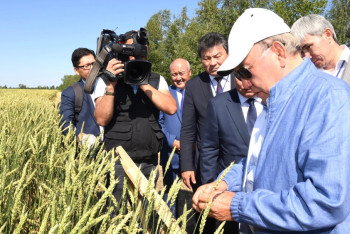 Фотография к новости: Назарбаев осмотрел поля зерновых в Акмолинской области