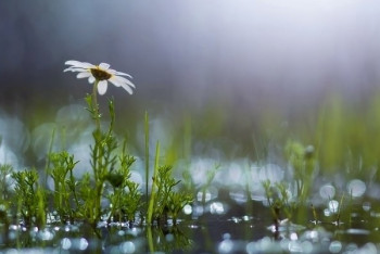 Фотография к новости: Тёплые дожди пройдут в выходные на большей части Казахстана