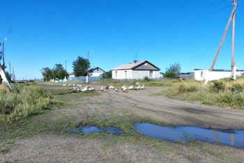 Объявить бойкот первому сентября хотят школьники одного из сел Костанайской области 