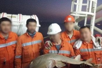 Фотография к новости: Это фейк - ученые прокомментировали фото необычной рыбы из Каспия 