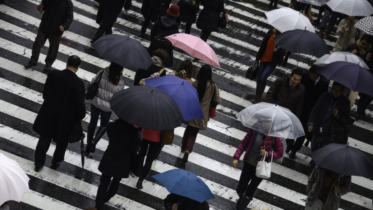 Из открытых источников 