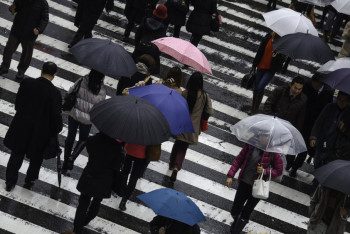 Фотография к новости: Дожди с грозами и порывистый ветер обещают синоптики 17 августа 