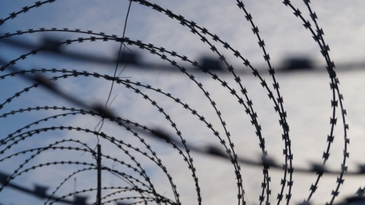 из открытых источников