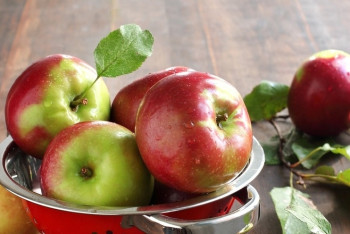 Фотография к новости: Яблочное меню появится в ресторанах Алматы ко дню города