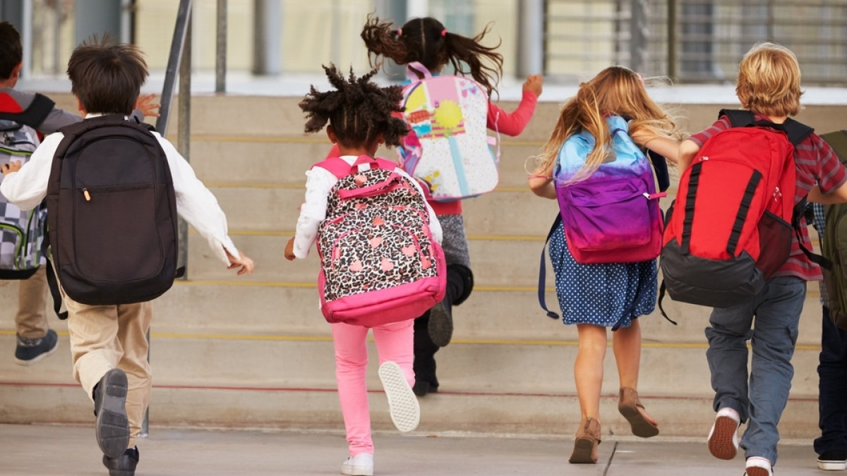 из открытых источников