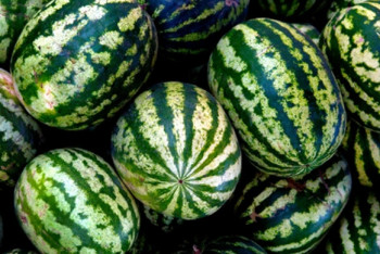 Двое детей отравились арбузами с "Магнума" в Алматы 