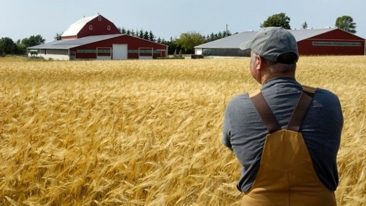 из открытых источников