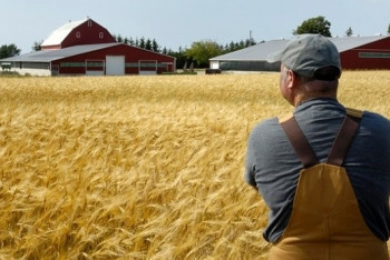 Фотография к новости: Труп сына убитого главы крестьянского хозяйства нашли в кустах Жамбылской области
