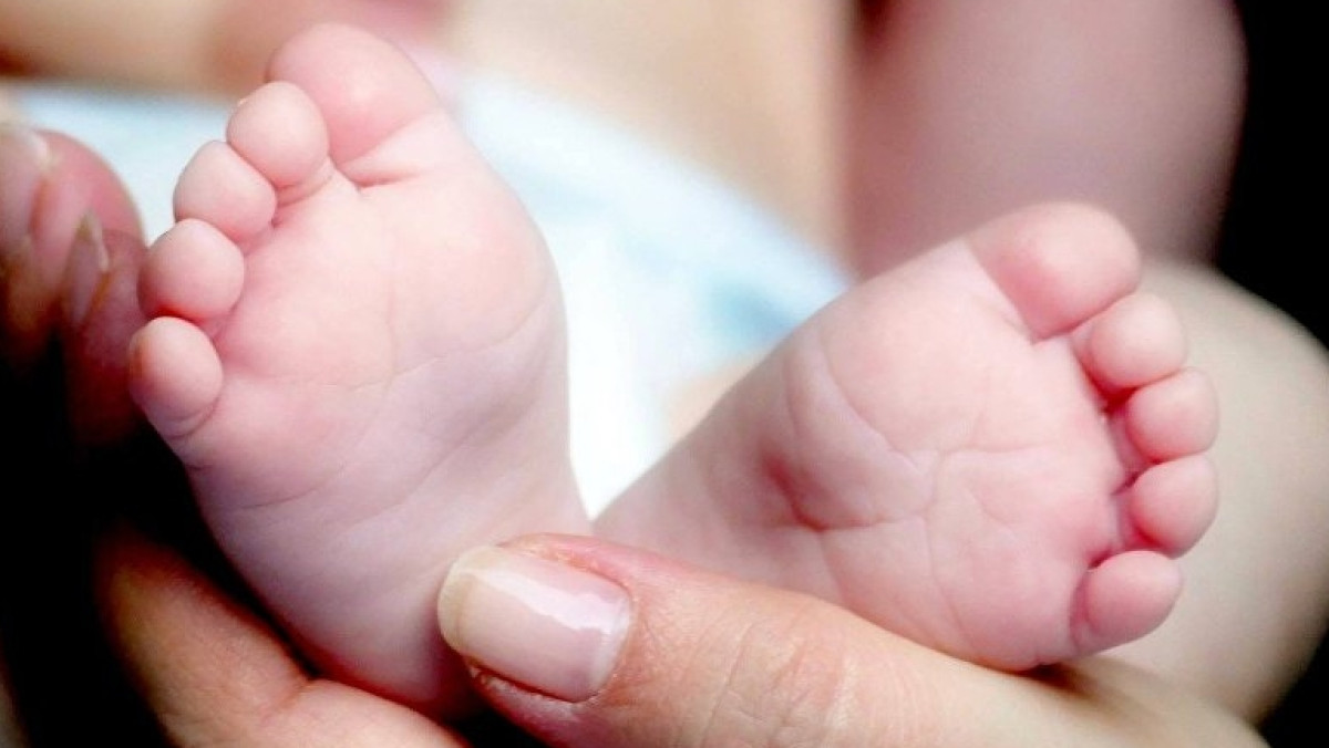 из открытых источников