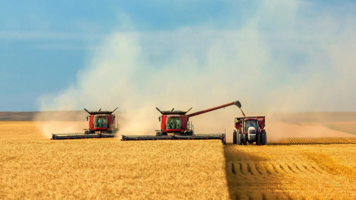 из открытых источников