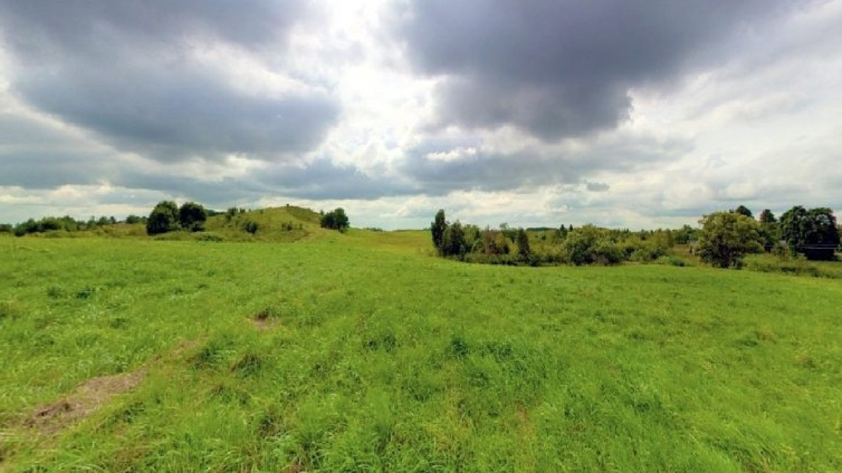 из открытых источников