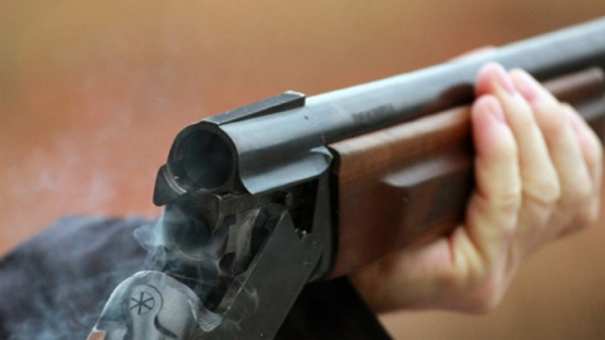 из открытых источников