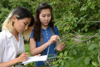 Экологи проверяют состояние парков и скверов Астаны
