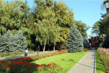 Отменить получение разрешения на санобрезку и пересадку деревьев намерены в Алматы