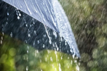 Фотография к новости: Дожди пройдут на большей части территории страны 11 августа 