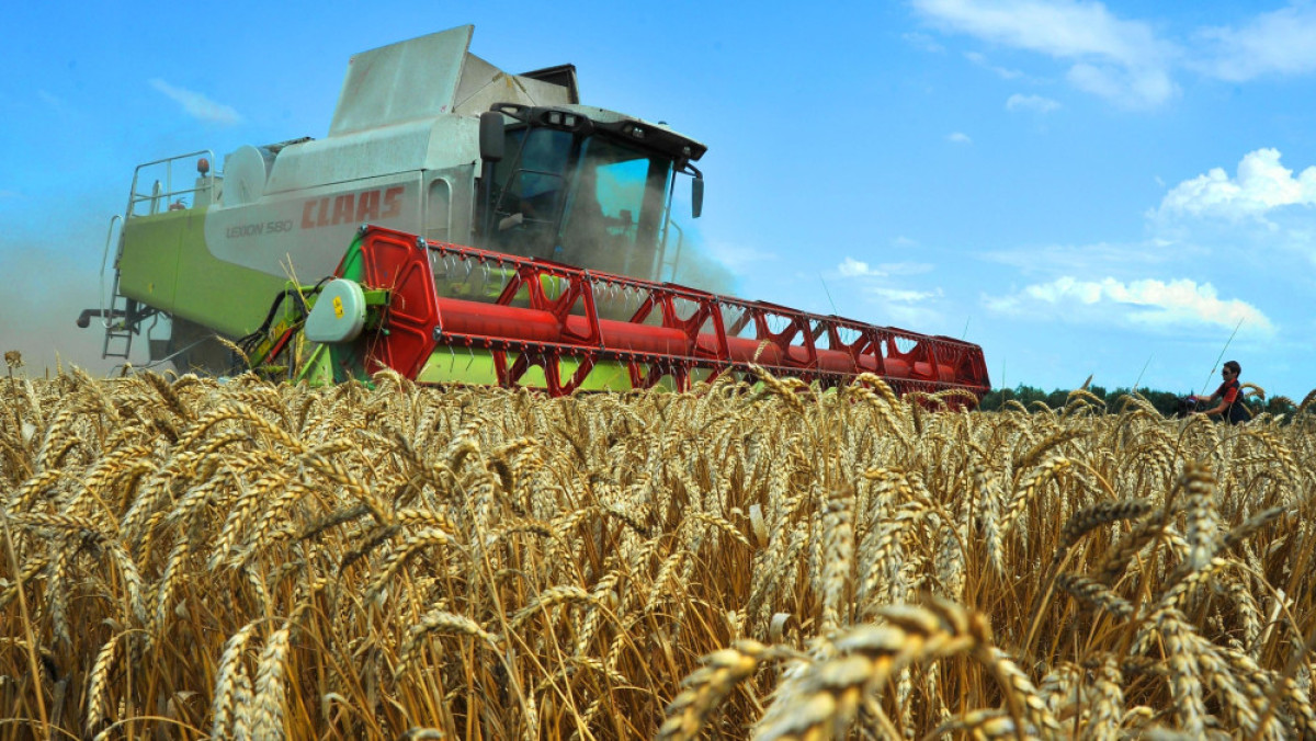 из открытых источников