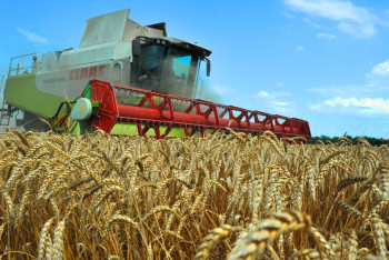 Фотография к новости: Банковские кредиты стали недоступны сельскому хозяйству – Шукеев