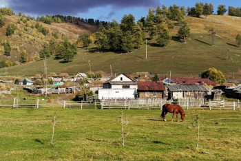 Фотография к новости: Из Казахстана эмигрировали свыше 10 тысяч человек за полгода