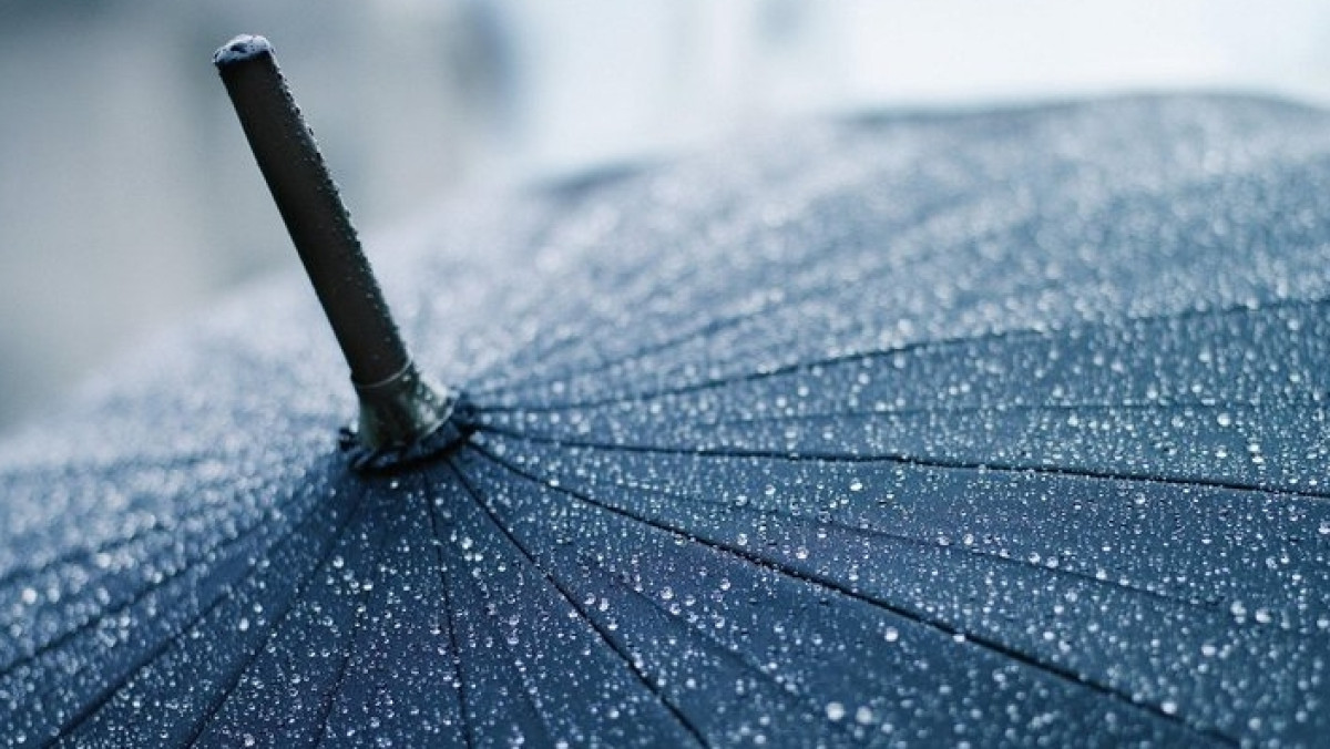 Из открытых источников 