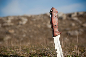 Фотография к новости: Кто втыкал ножи в землю на детских площадках, выяснили в ДВД Караганды 