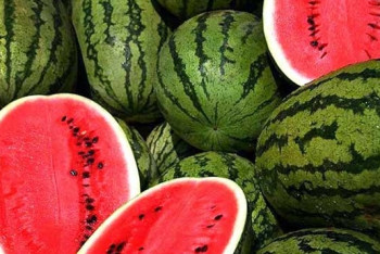 Фотография к новости: Арбузный фестиваль пройдет в Алматы